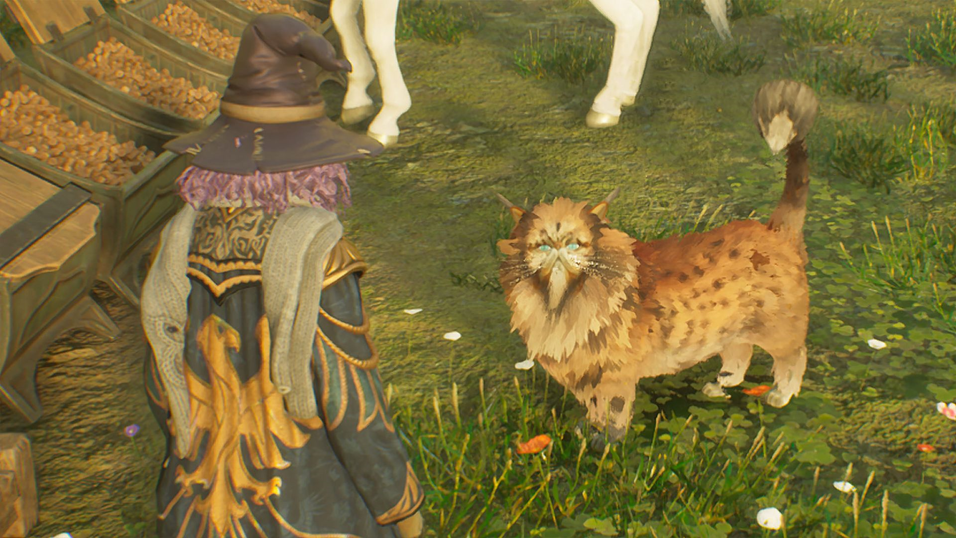 Hogwarts Legacy Kneazle locations: How to find the magical cat